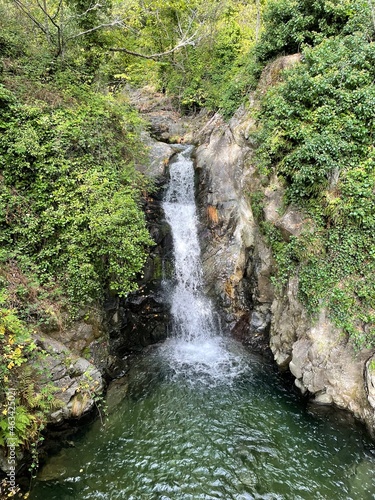 waterfall in the forest
