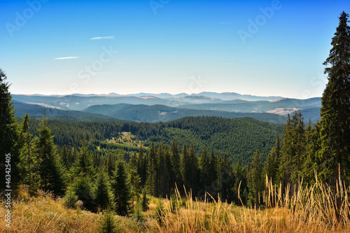 Oasa Lake - Transylvania, Romania