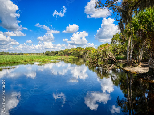 Blue sky with white clouds over Myakka River in Myakka River State Park in Sarasota Florida USA
