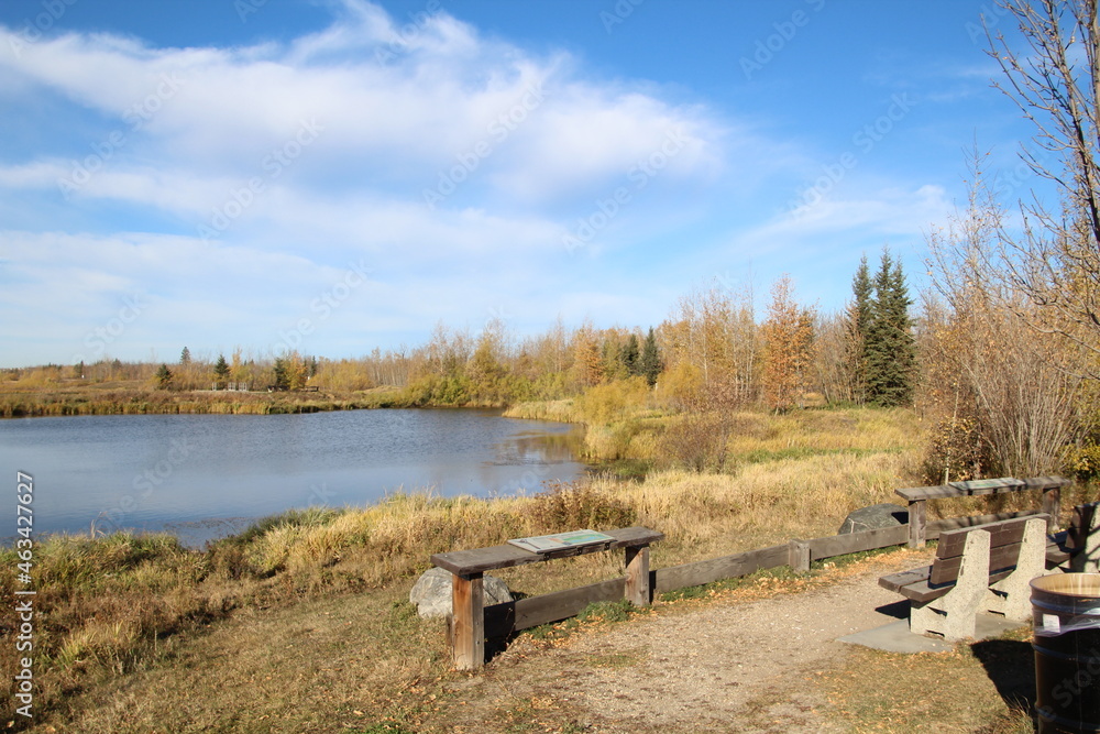 Mid October On The Wetlands, Pylypow Wetlands, Edmonton, Alberta