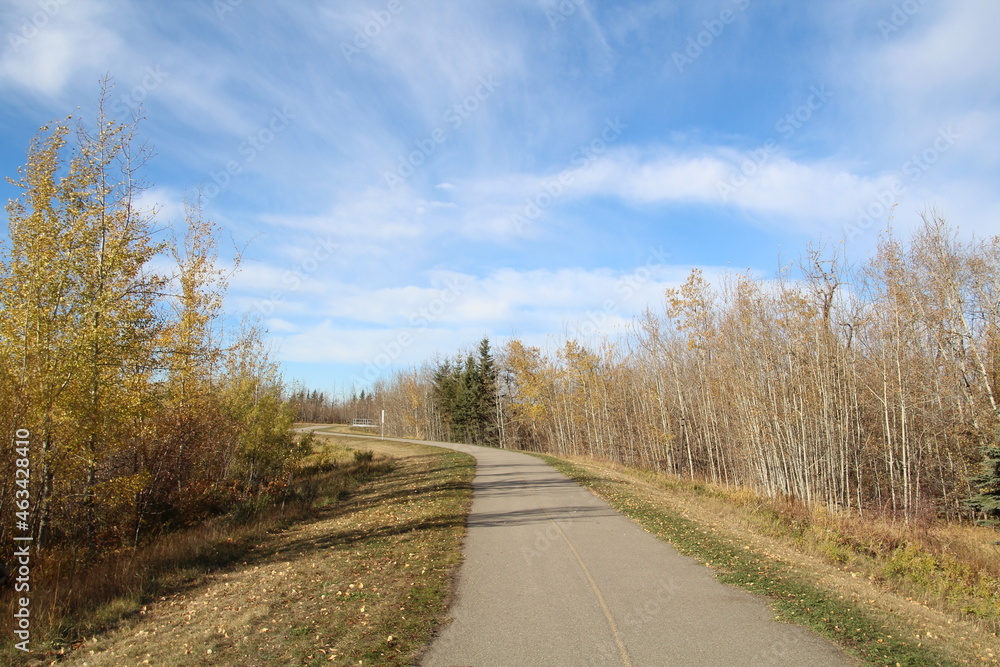Octobers Path, Pylypow Wetlands, Edmonton, Alberta