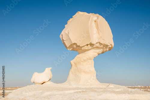 Desert Dunes and Beauty