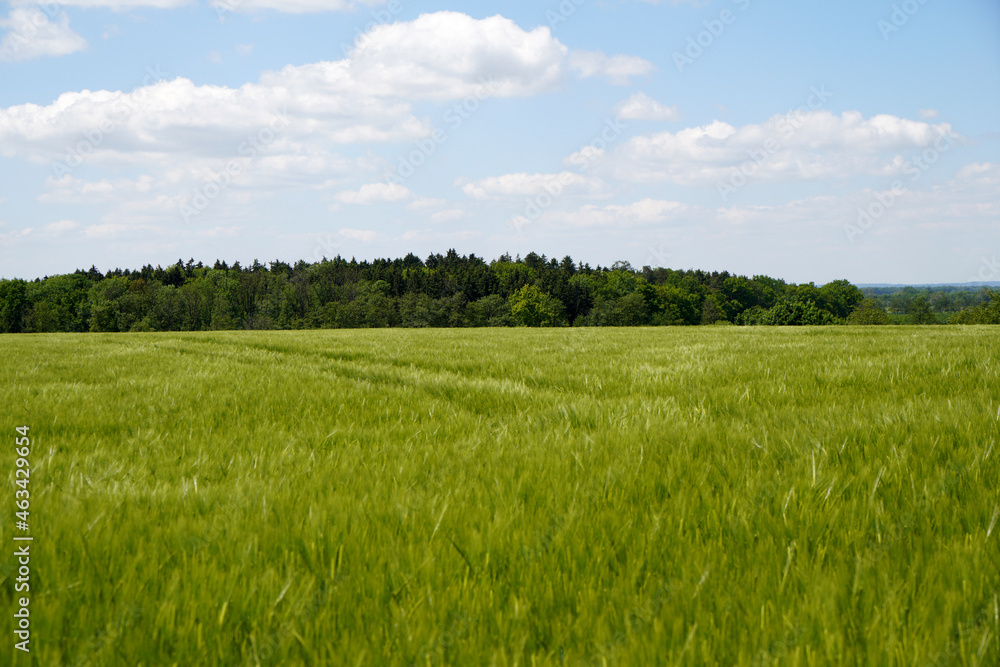 Fototapeta premium Autumn colors in different panorama shots in green and brown tones along the Danube near Bavaria