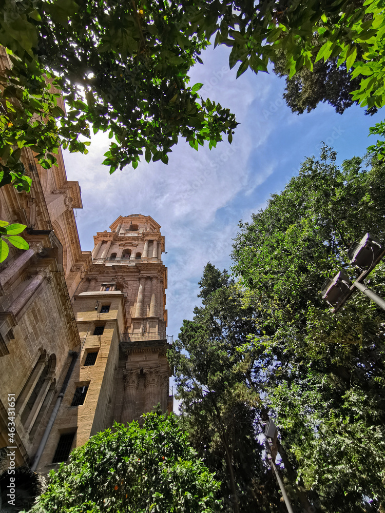 Fototapeta premium Bell tower of the Cathedral of the Incarnation through bushes in Malaga, Spain