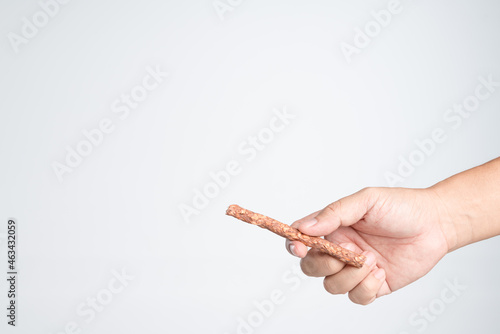 Hand holding pet jerky treat stick for dog