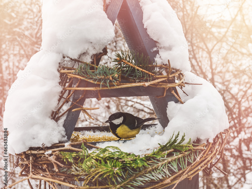 Cute, beautiful birds in a wicker feeder. Close-up, outdoors. Day light. Animal care concept Cute, beautiful birds in a wicker feeder. Close-up, outdoors. Day light. Animal care concept
