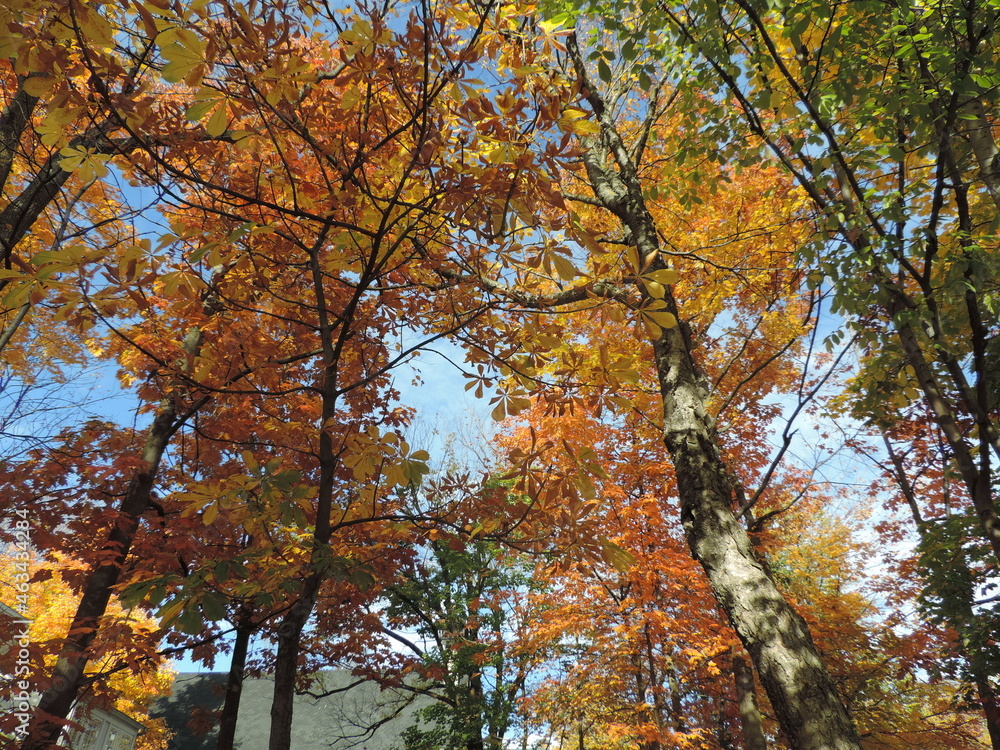 Les Plaines d'Abraham de Québec