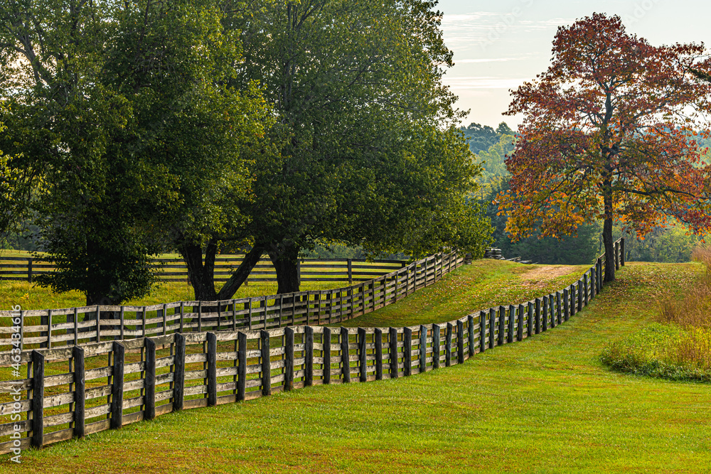 Old country road with fences on either side and colorful tree during the fall