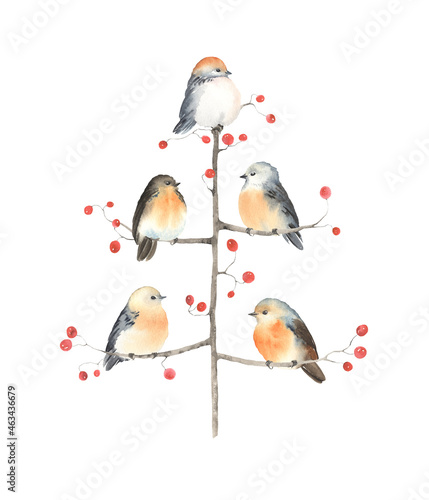 Canvas Print Christmas or autumn card of cute birds sitting on branches tree with berries, watercolor wildlife illustration isolated on white background for your design invitation or greeting cards, wedding