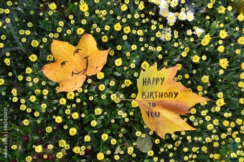 leaf on Yellow Chrysanthemums background.  Happy birthday 