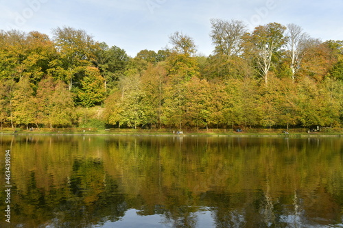 Feuillage doré des arbres bordant l'étang du Moulin dans un cadre idyllique en automne sur le site de l'abbaye du Rouge-Cloître à Auderghem 