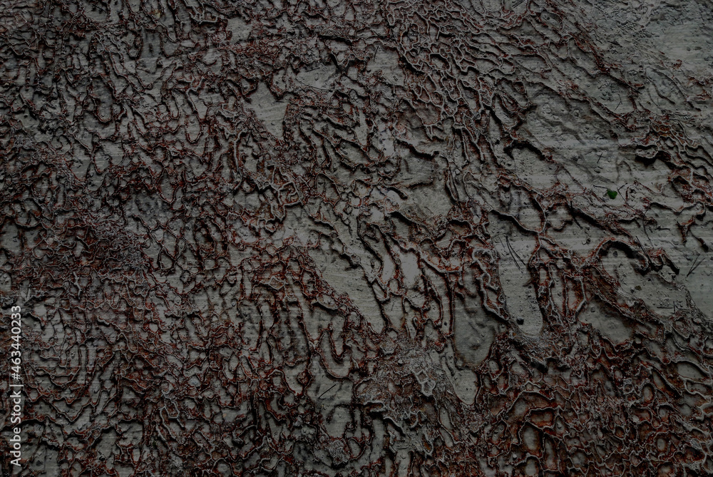 texture of the stone texture of the stone