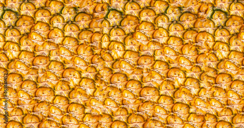 Pineapple skin