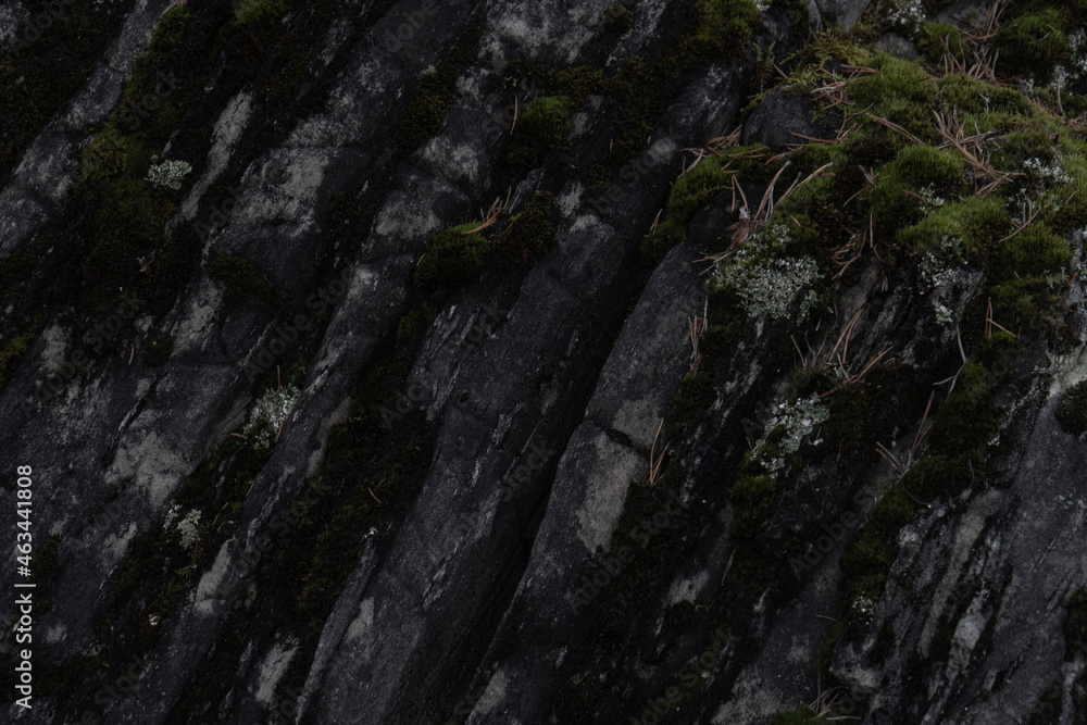 moss stone background