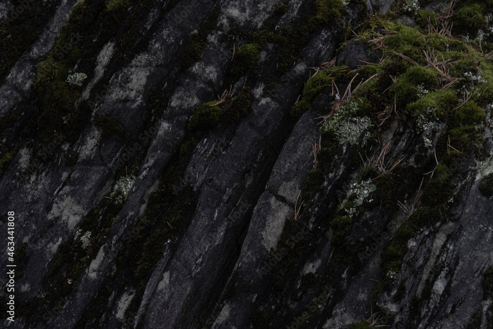 moss stone background moss stone background