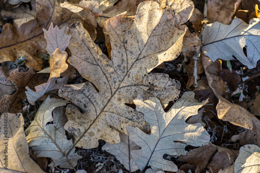 Landscapes of Texas Hill Country in the fall, autumn, season changing, outdoors, river, camping Landscapes of Texas Hill Country in the fall, autumn, season changing, outdoors, river, camping