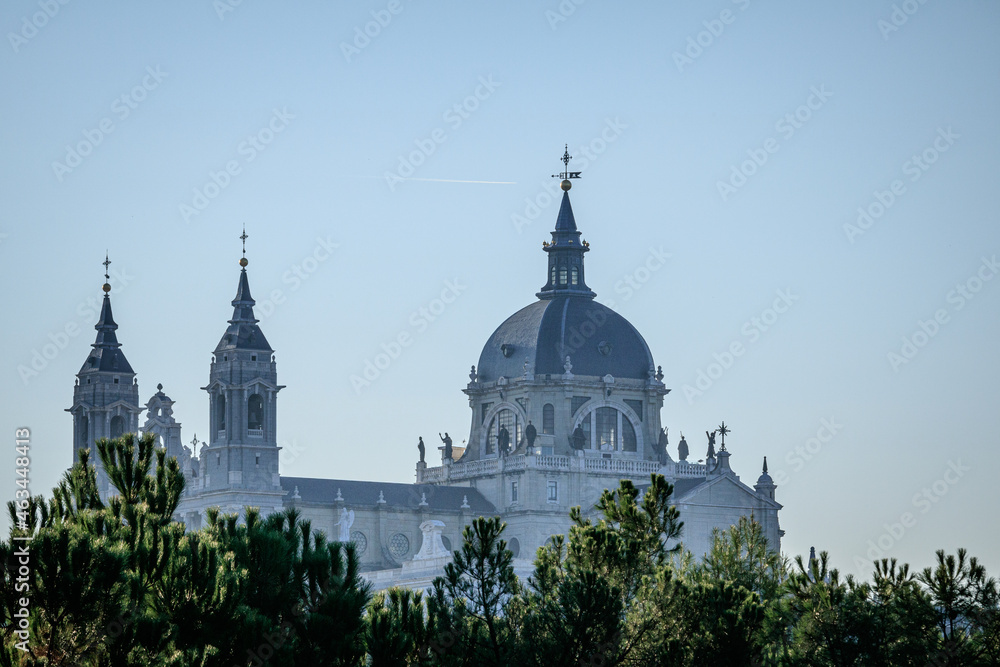 Naklejka premium Cathedral elevated among the treetops