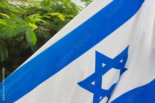 Israeli flag on a background of green leaves.