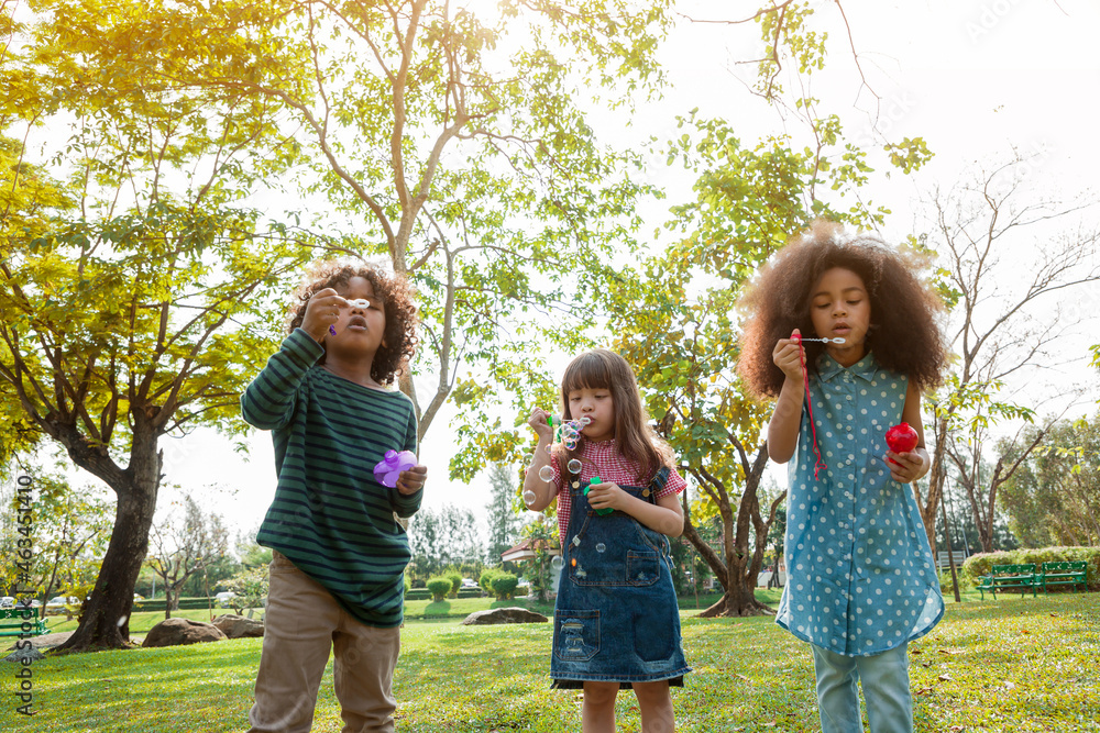 Group of children playing blowing bubbles fun Group of children playing blowing bubbles fun