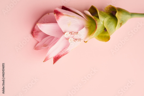 Fototapeta Naklejka Na Ścianę i Meble -  Jewelry fashion photography. Earrings on a pink flower on pinl background. content creative minimalist shooting.
