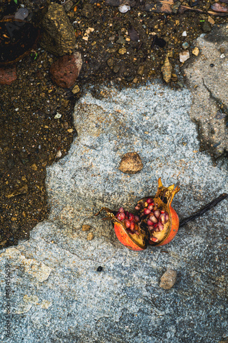 A broken pomegranate for good luck photo