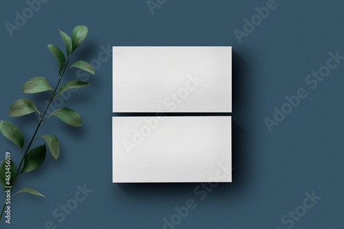 Clean minimal business card mockup on color background with leaves