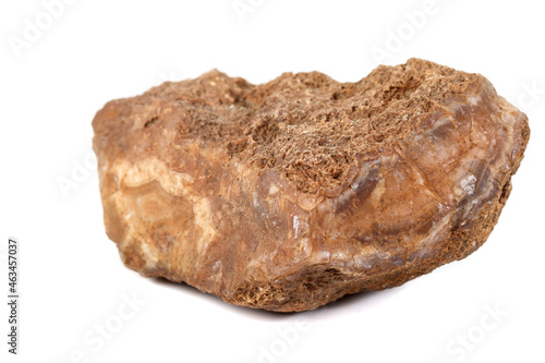 Macro mineral stone Agate Brown on white background