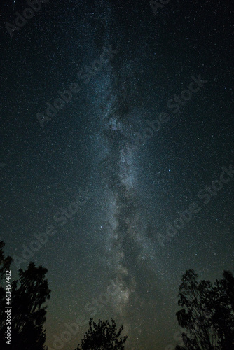 Milky Way with trees in the foreground. Dark night in Sweden