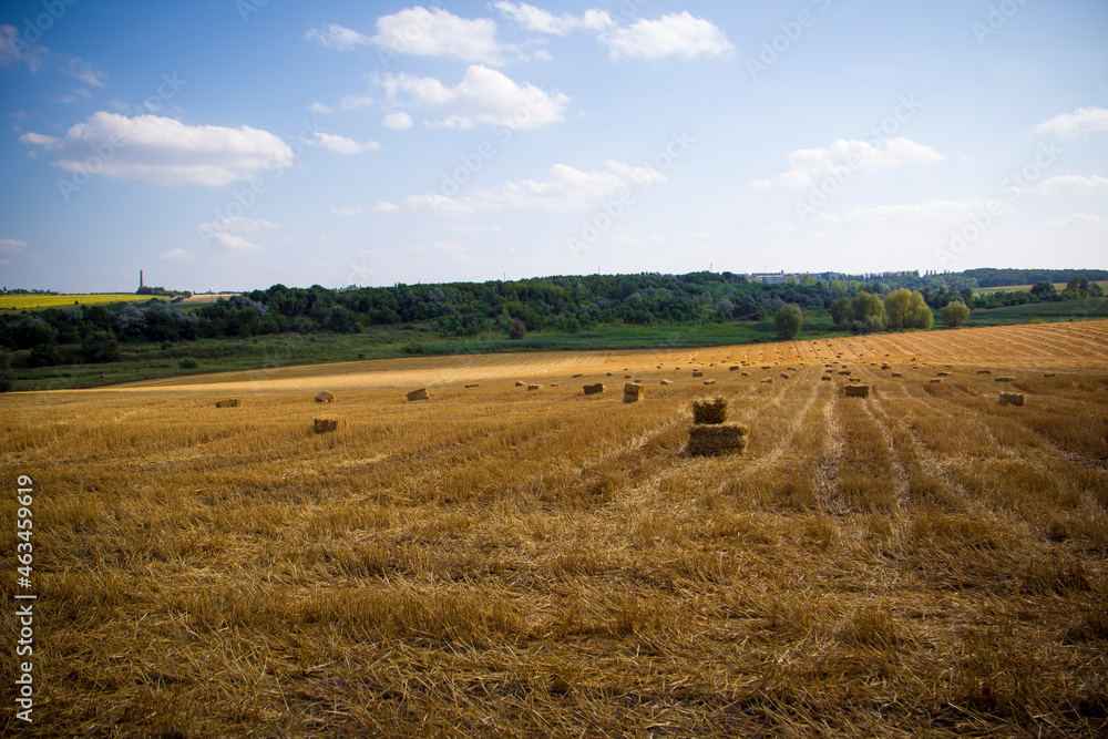 Obraz premium landscape with bales