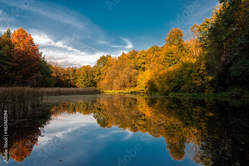 jesień, jesienią, jezioro, woda, krajobraz, drzewo, rzeka, drzewa, bory, niebo, zółty, blękit, sadzawka, park, pora roku, liście, barwnie, barwa, drewna, zieleń, barwa