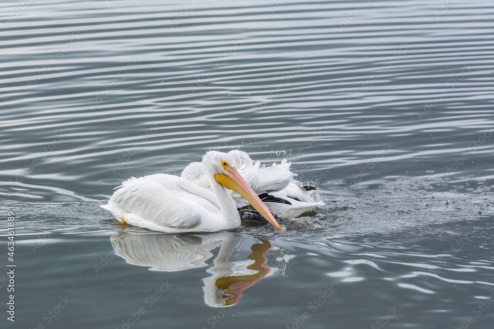 Autumn on Texas Gulf Coast, beach, sand, sea, nature, summer