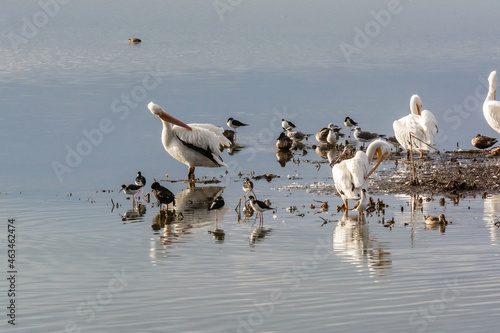 Autumn on Texas Gulf Coast, beach, sand, sea, nature, summer photo