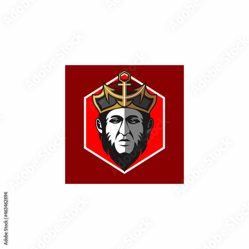 Pirate king logo design. king's head logo. dictator