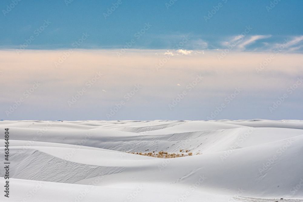 Undulating Dunes Disppear Into The Horizon Undulating Dunes Disppear Into The Horizon