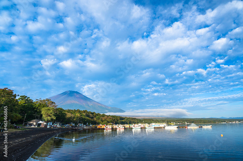早朝の山中湖からの富士山 旭日丘