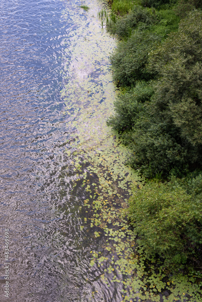 Green bank of the Sozh river, view from the top of the bridge. Green bank of the Sozh river, view from the top of the bridge.