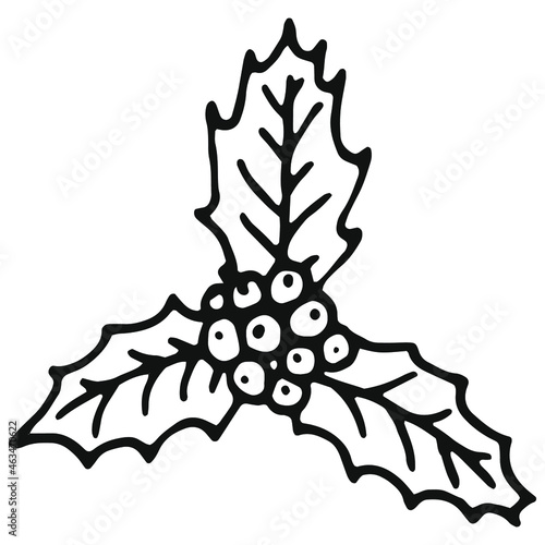 hand drawn holly berry in doodle style