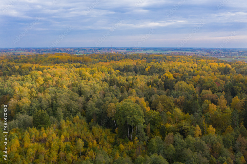 Aerial landscape of colorful yellow and green autumn forest