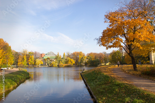 Autumn landscape. Beautiful golden autumn. Beautiful sunny autumn day. Golden woods and blue sky. © Виталий Салин