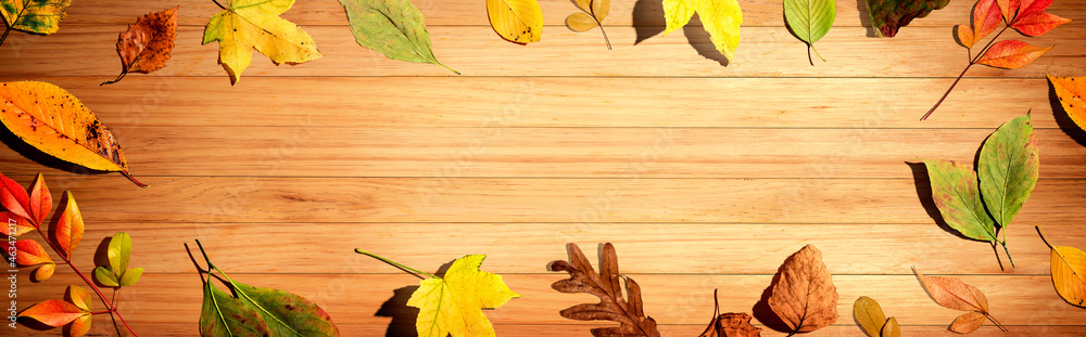 Colorful autumn leaves overhead view - flat lay Colorful autumn leaves overhead view - flat lay