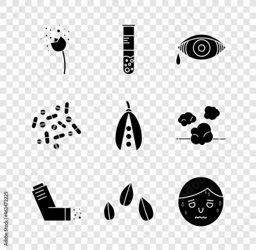 Set Flower producing pollen, Test tube and flask, Reddish eye allergic conjunctivitis, Inhaler, Sesame seeds, Man with excessive sweating, Medicine pill or tablet and Kidney beans icon. Vector