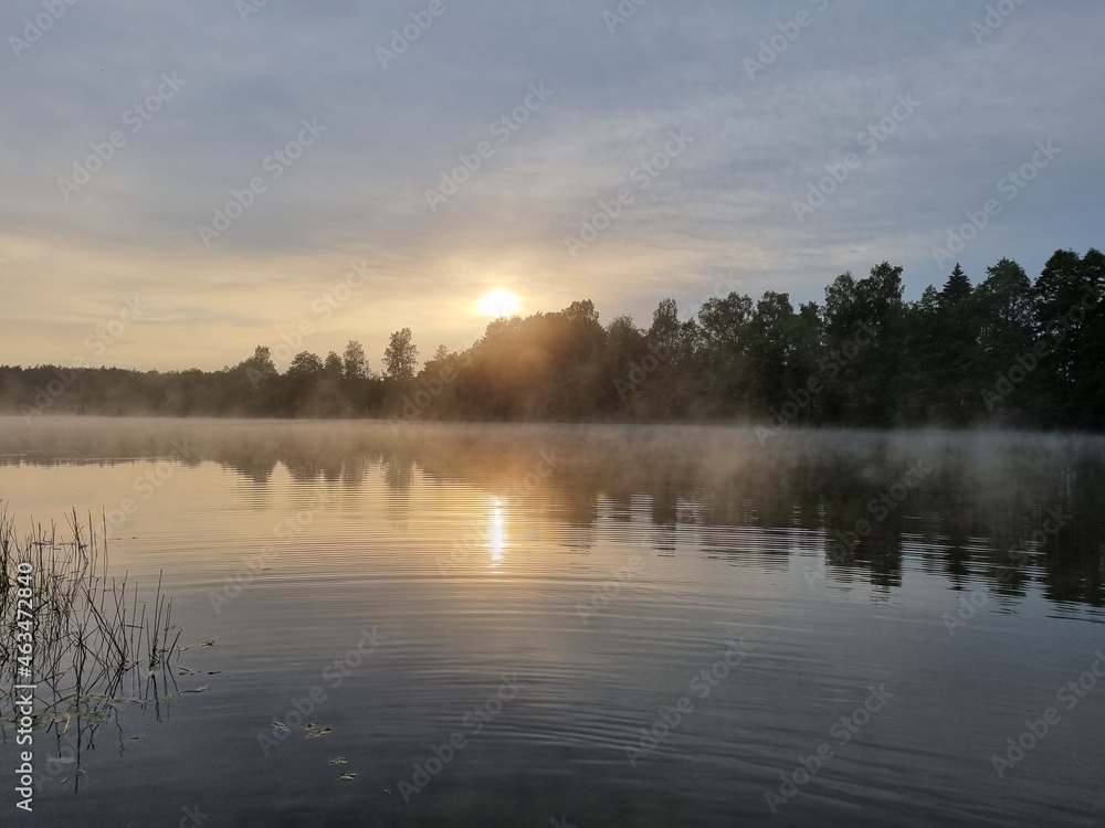 Morning on the lake Morning on the lake