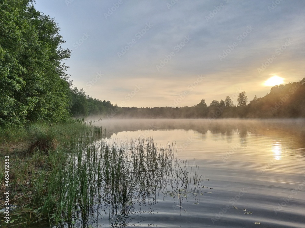 Fototapeta premium Fog over the lake