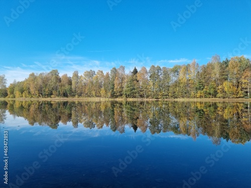 Lake in autumn
