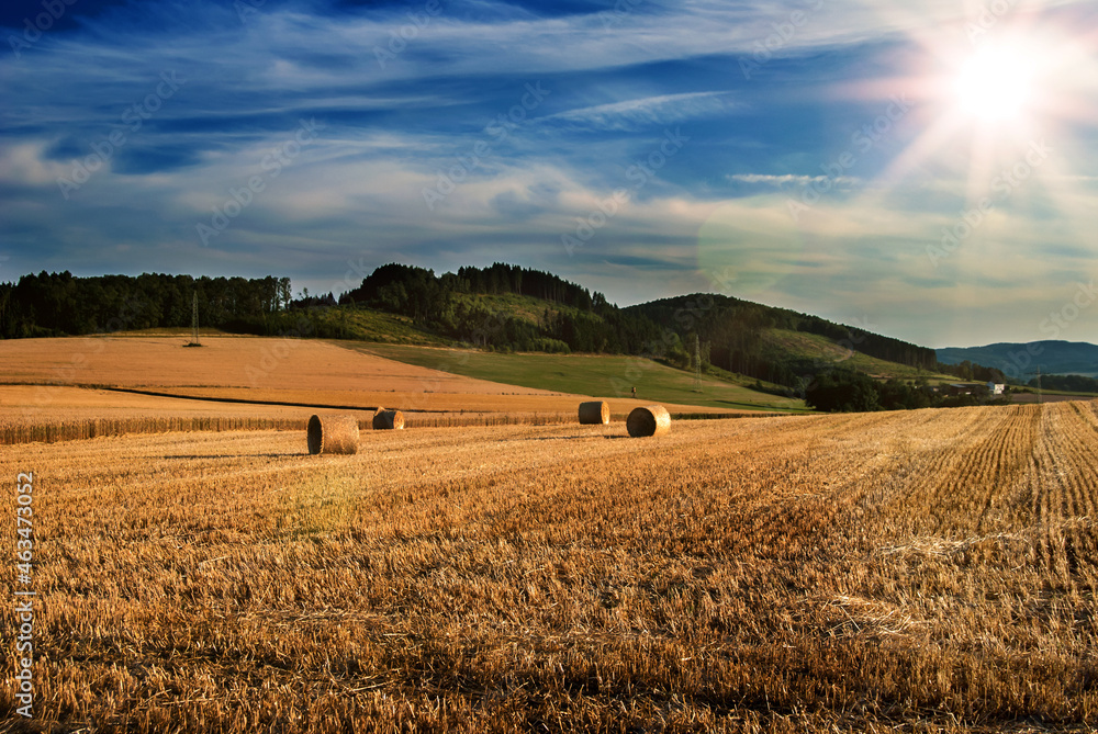 Fototapeta premium Abgeerntetes Getreidefeld mit Strohballen in der Abendsonne im Sauerland