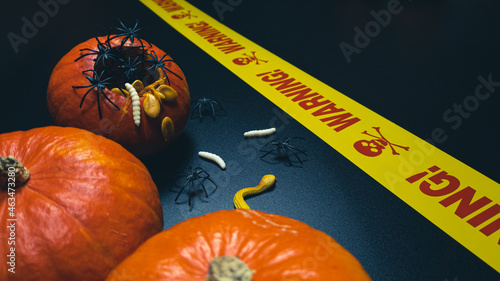 Halloween pumpkins on black background with spiders, worms and yellow ribbon (ID: 463473280)