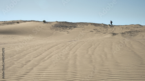 Unrecognized person walking in sand dunes dry land in midday