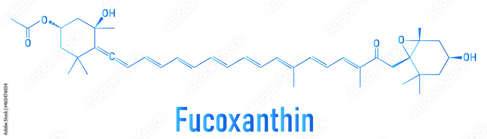 Fucoxanthin brown algae pigment molecule. Ingredient of some dietary supplements. Skeletal formula. Fucoxanthin brown algae pigment molecule. Ingredient of some dietary supplements. Skeletal formula.