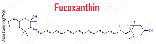 Fucoxanthin brown algae pigment molecule. Ingredient of some dietary supplements. Skeletal formula. photo