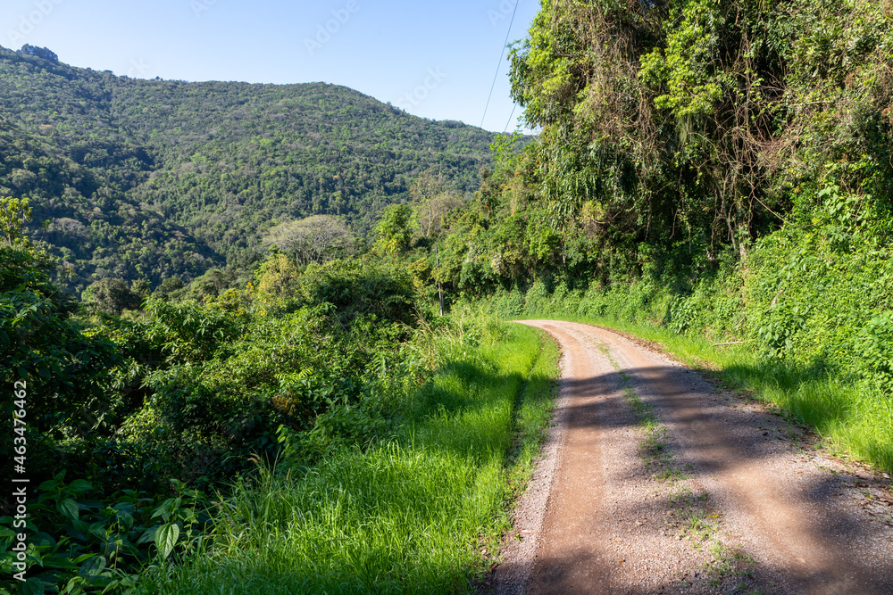 Obraz premium Dirty road around forest